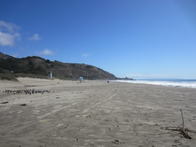 IMG_3120.JPG